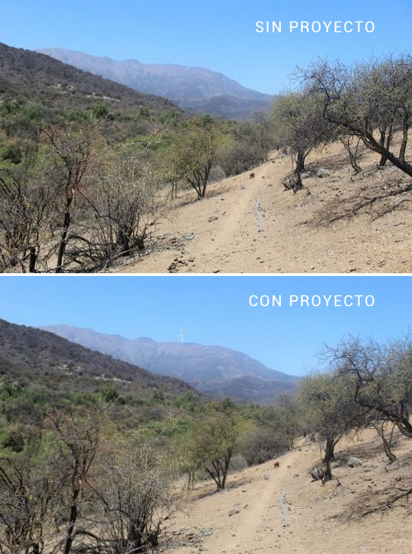 Sector Cerro Picarquín
