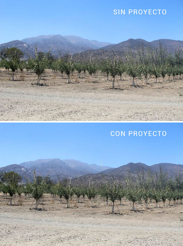 Sector Estero Peuco